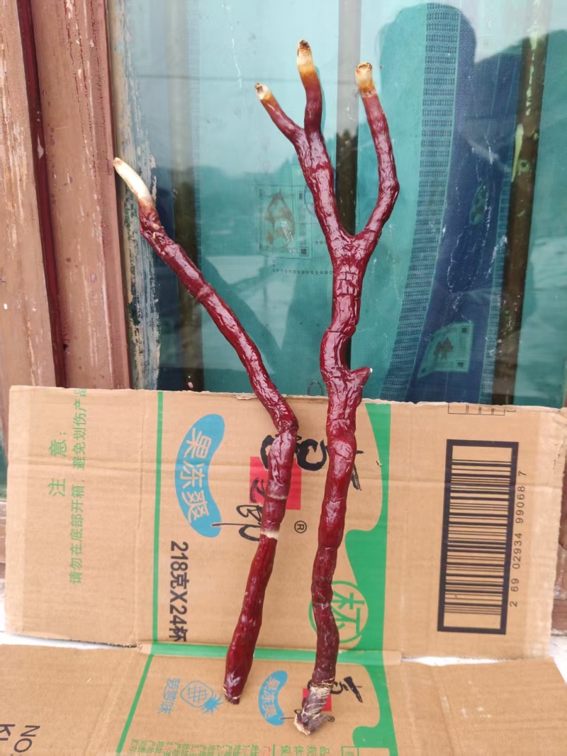 贵州中药菌藻类/鹿茸灵芝/规格齐全/量大价优/欢迎咨询