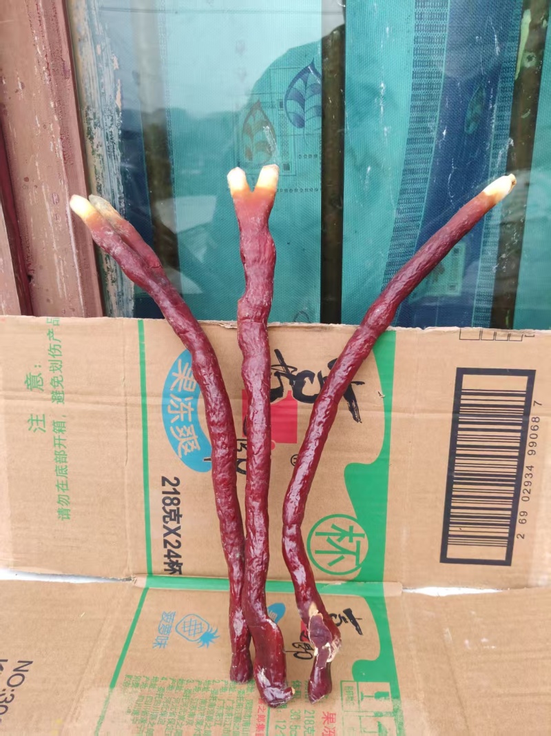 贵州中药菌藻类/鹿茸灵芝/规格齐全/量大价优/欢迎咨询