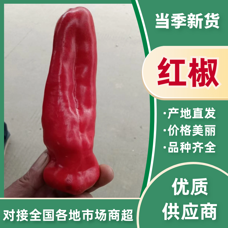 当季红椒，产地直发品质保证，新鲜现摘量大从优！