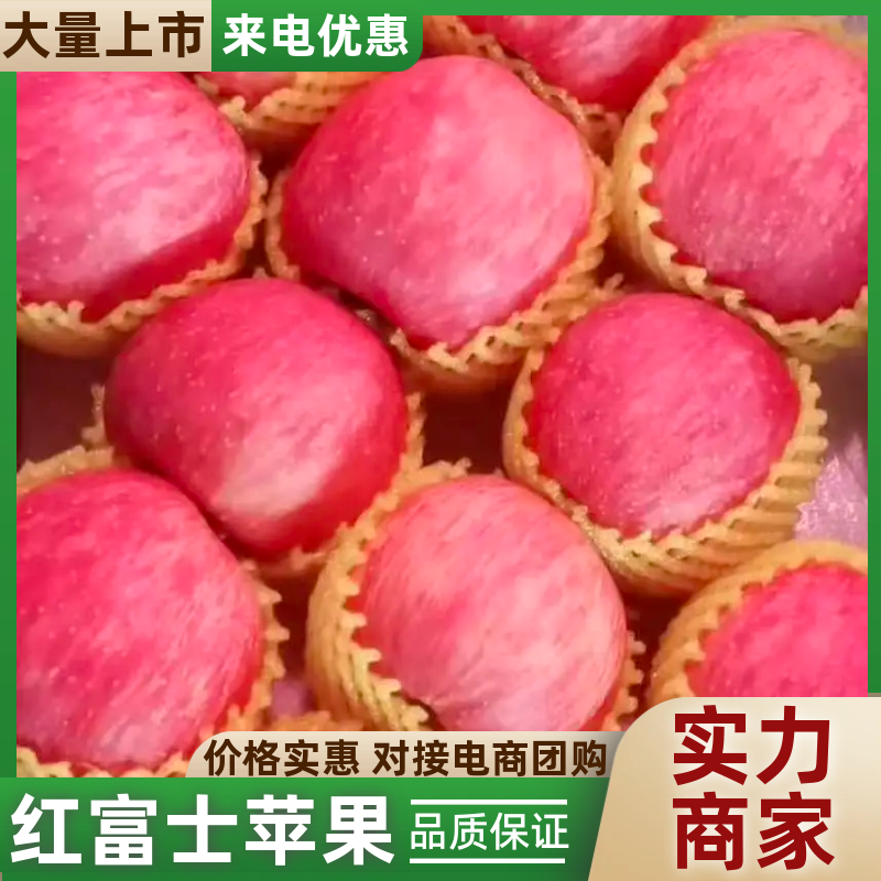 精品红富士苹果产地直发品质保证价格优惠欢迎选购