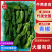 当季青椒，产地直发品质保证，新鲜现摘量大从优！