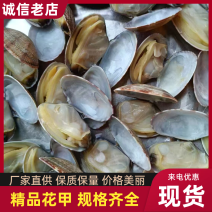 辽宁东港本地精品无沙花甲水产基地一手货源全国发货欢迎合作