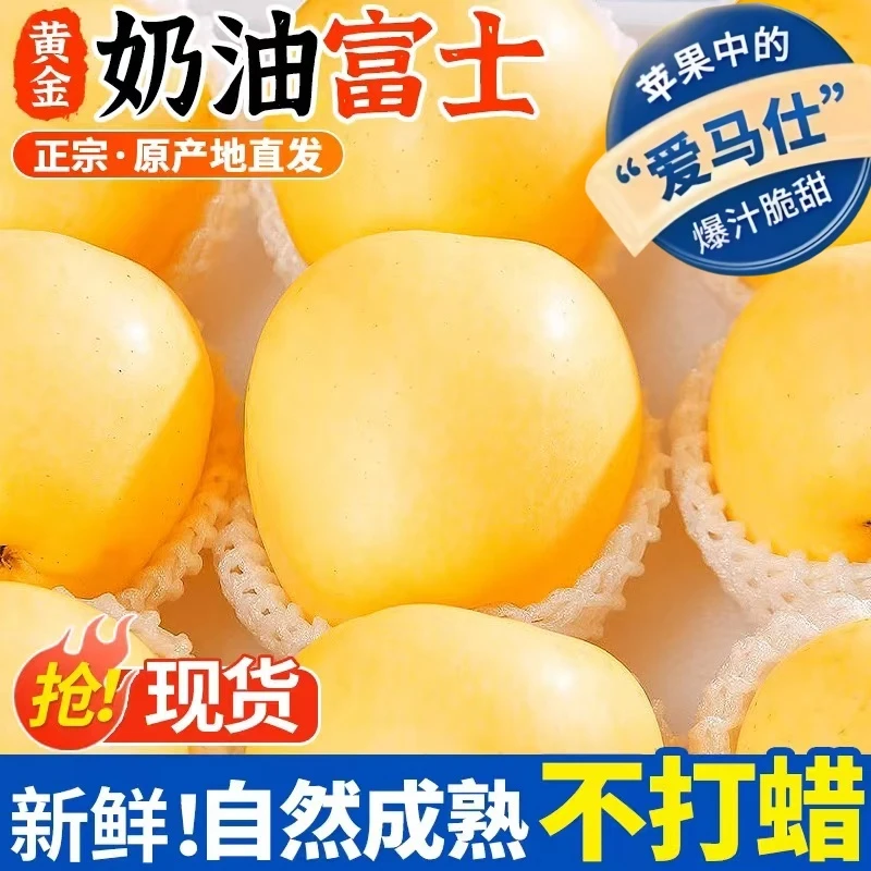 烟台奶油富士苹果产地直发可供电商批发私域