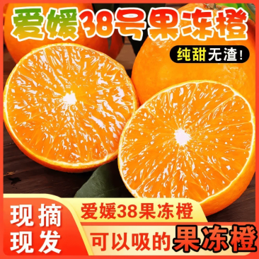 爱媛38号果冻橙产地一手货一件代发电商货