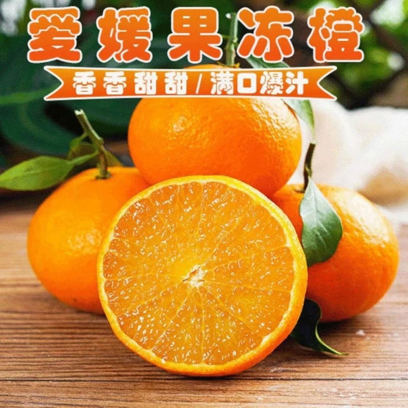 爱媛38号果冻橙产地一手货一件代发电商货