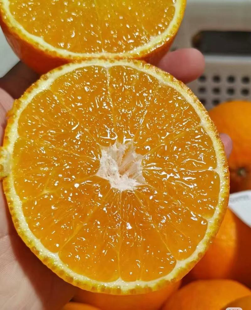 【精选】精品爱媛橙，新鲜现货速发，味美价廉欢迎选购