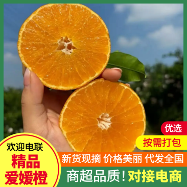 【精选】精品爱媛橙，新鲜现货速发，味美价廉欢迎选购