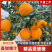 【精选】精品爱媛橙，新鲜现货速发，味美价廉欢迎选购