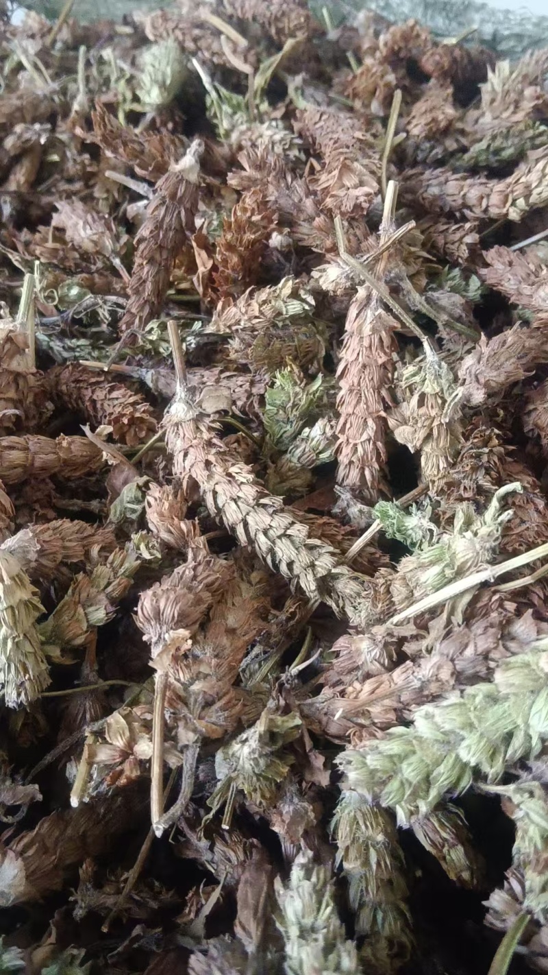 夏枯球支持视频看货，诚信经营，客户至上！