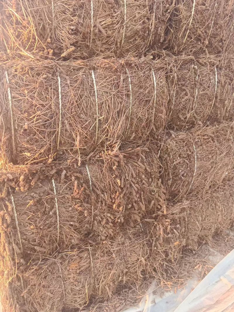 夏枯草产地直销，精品压件货源充足