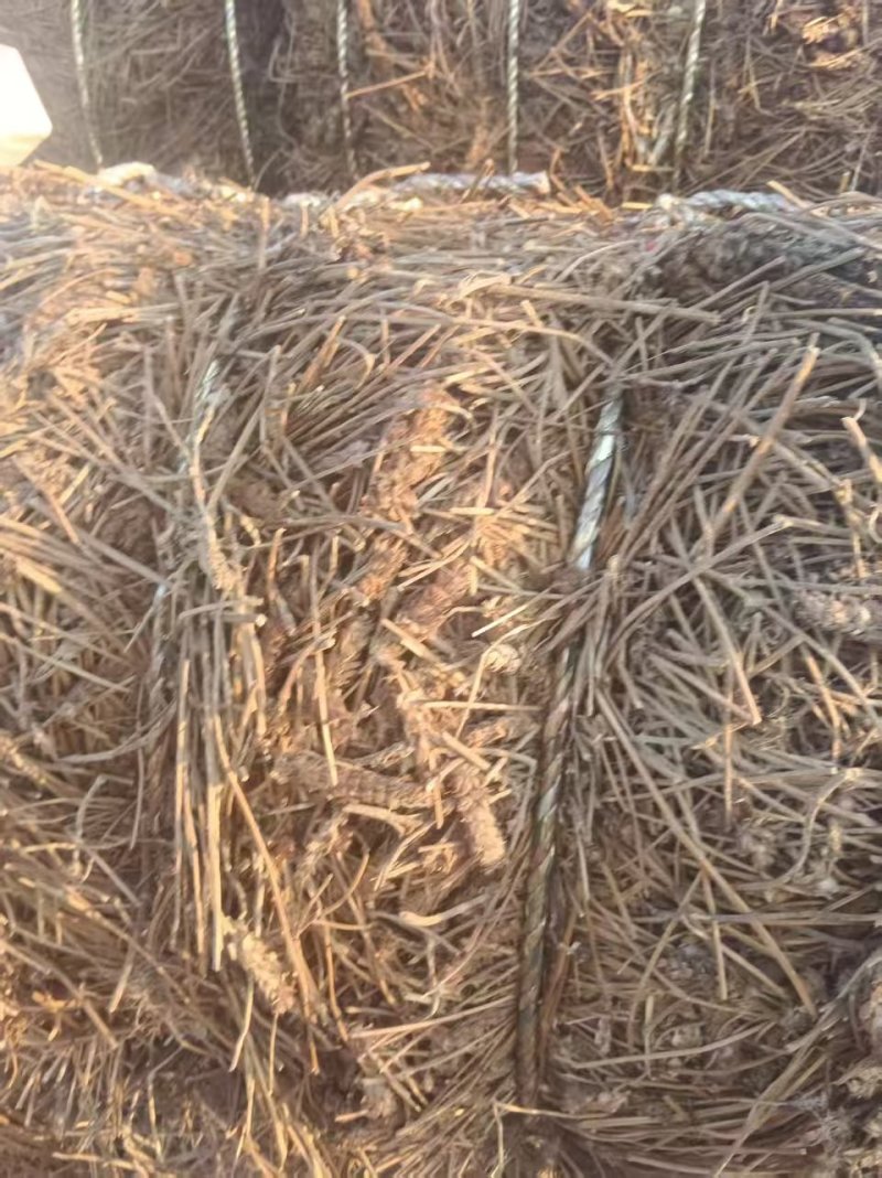 夏枯草产地直销，精品压件货源充足