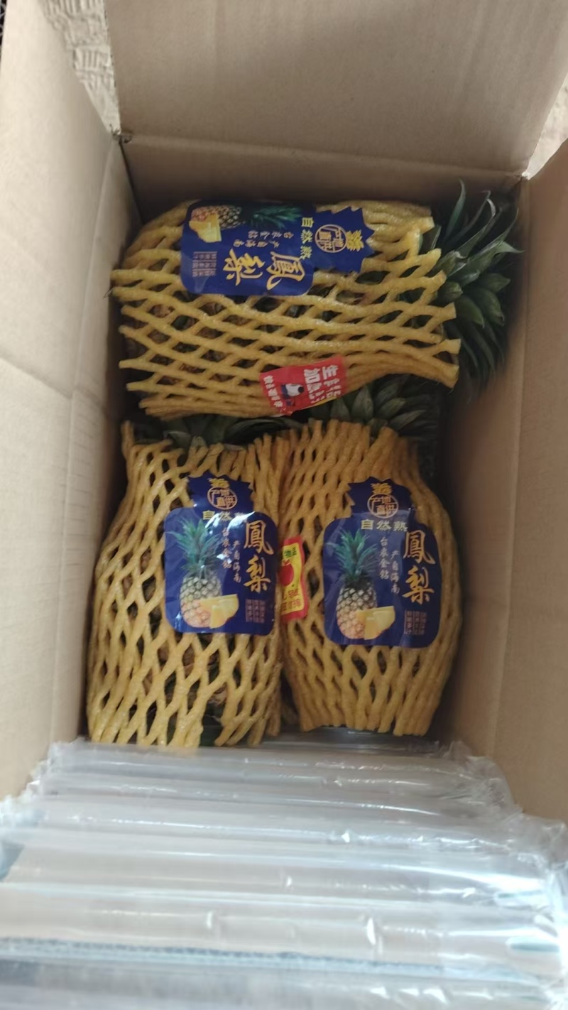菠萝，凤梨，金子钻凤梨大量有货，量大价格从优