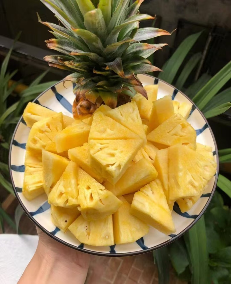 菠萝，凤梨，金子钻凤梨大量有货，量大价格从优