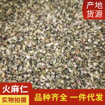 中药材火麻仁去壳火麻仁现货供应规格齐全