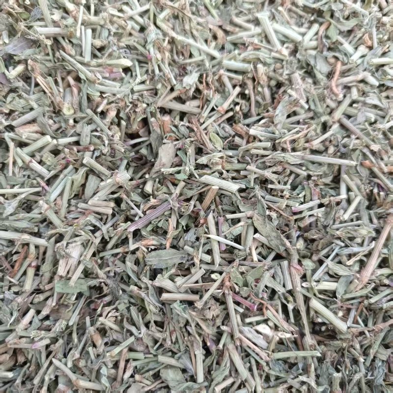 中药材萹蓄新货萹蓄现货供应量大从优中药材批发供应