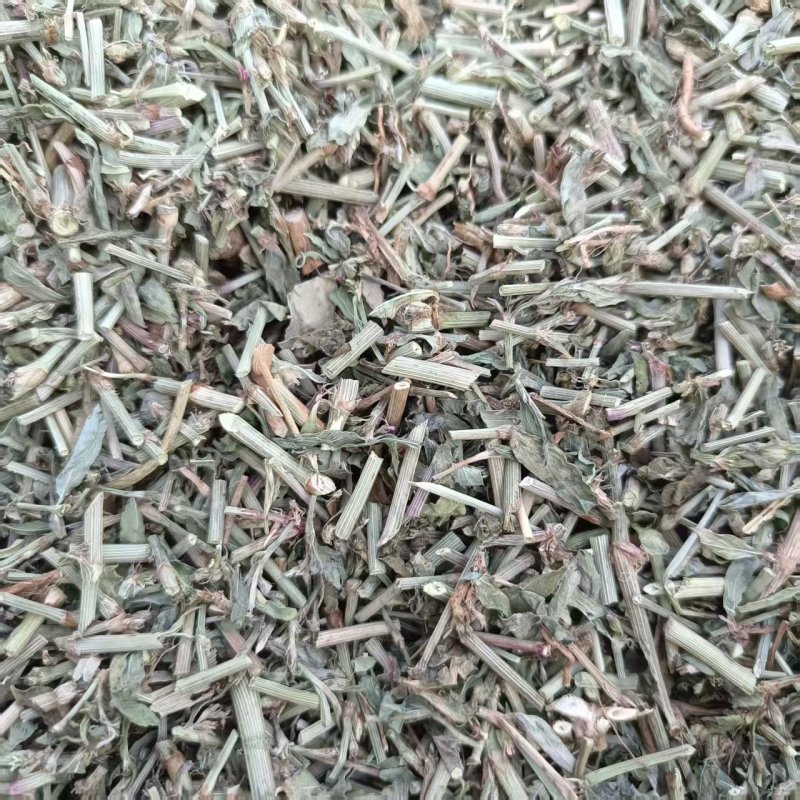 中药材萹蓄新货萹蓄现货供应量大从优中药材批发供应