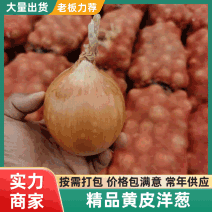精品黄皮洋葱产地直发全国发货可视频看货质量保证