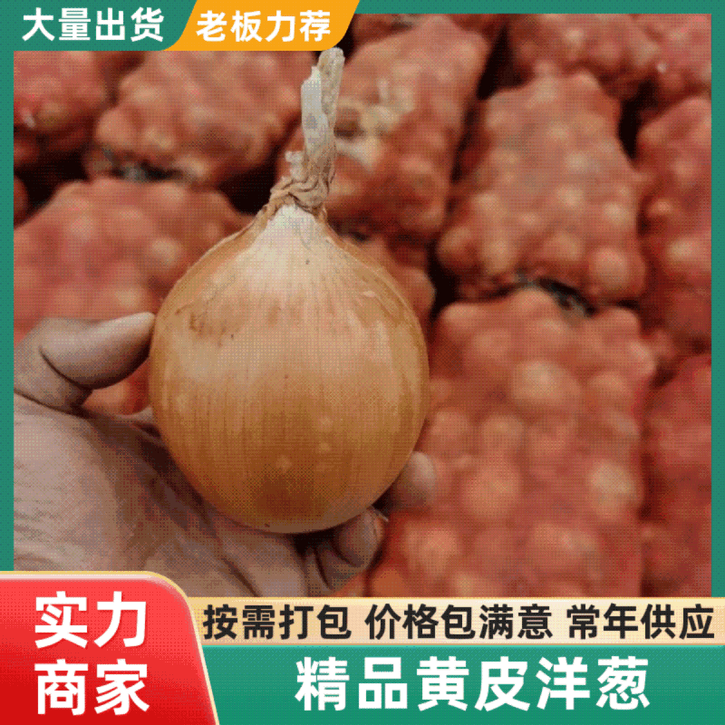 精品黄皮洋葱产地直发全国发货可视频看货质量保证