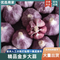 金乡新大蒜，产区直发全年有货