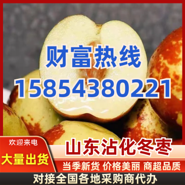 山东精选冬枣一件代发品质保证对接市场商超社区团购