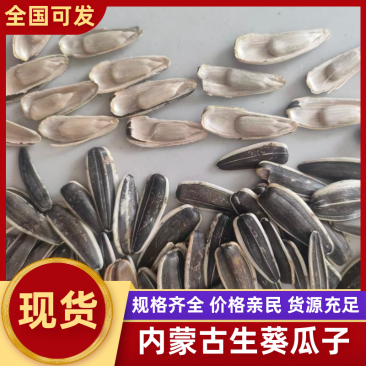 内蒙古精品葵花籽产地直发价格优惠对接市场商超电商