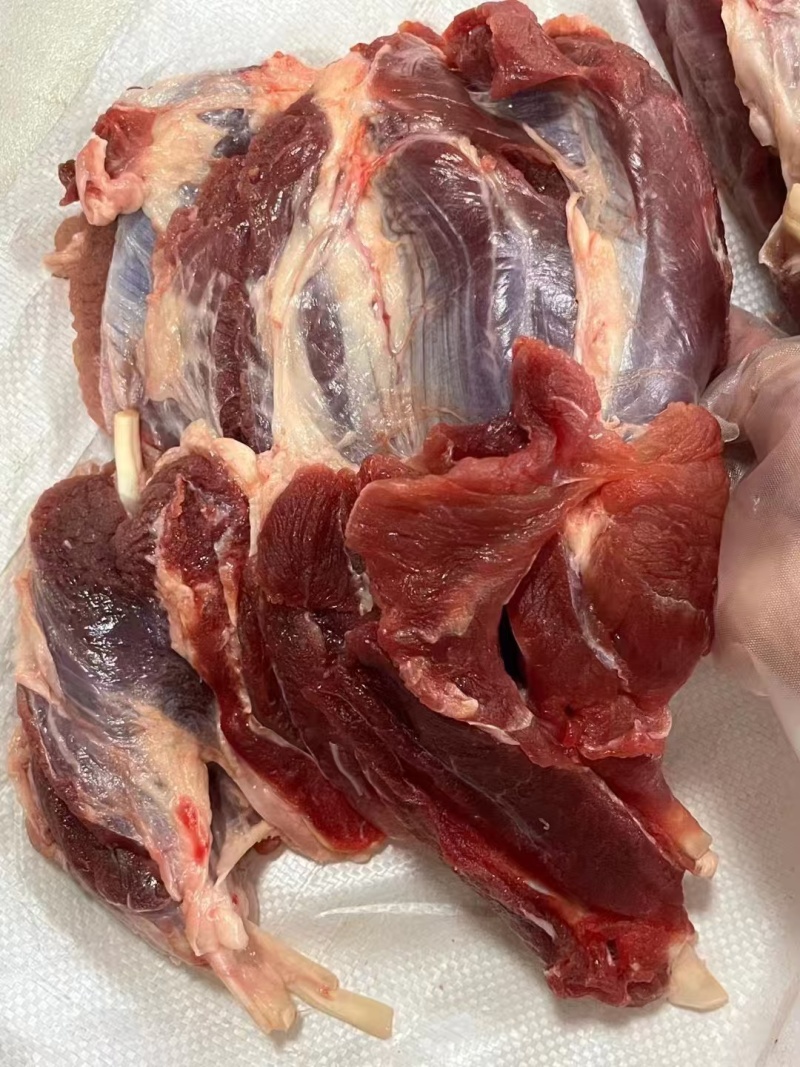 新鲜.精品纯干无水腱子肉牛肉雪花肉牛腱子前后腿精瘦肉
