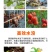 肥料原料生化黄腐酸钾改良土壤增加有机质