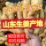 风干姜/日照大黄姜,水洗姜/泥姜/可出口/随到随装
