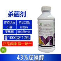 整箱百农思达43%戊唑醇小麦白粉病苹果树斑点落叶病强力杀