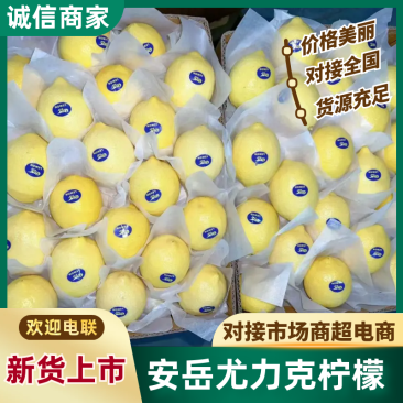 精品尤力克柠檬，一手货源，诚信经营，可对接各大电商商超等