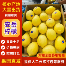 四川省安岳尤力克柠檬，全国发货，量大从优，可视频看货
