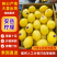 四川省安岳尤力克柠檬，全国发货，量大从优，可视频看货