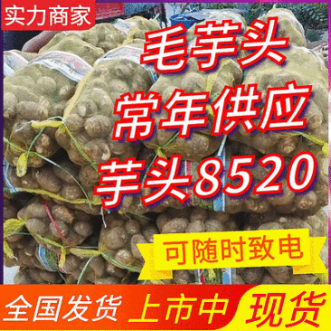 毛芋头8520(基地直供/可常年批发)坏烂包赔/全国发货