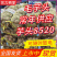 毛芋头8520(基地直供/可常年批发)坏烂包赔/全国发货
