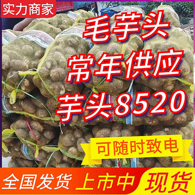 毛芋头8520（基地直供/可常年批发）坏烂包赔/全国发货