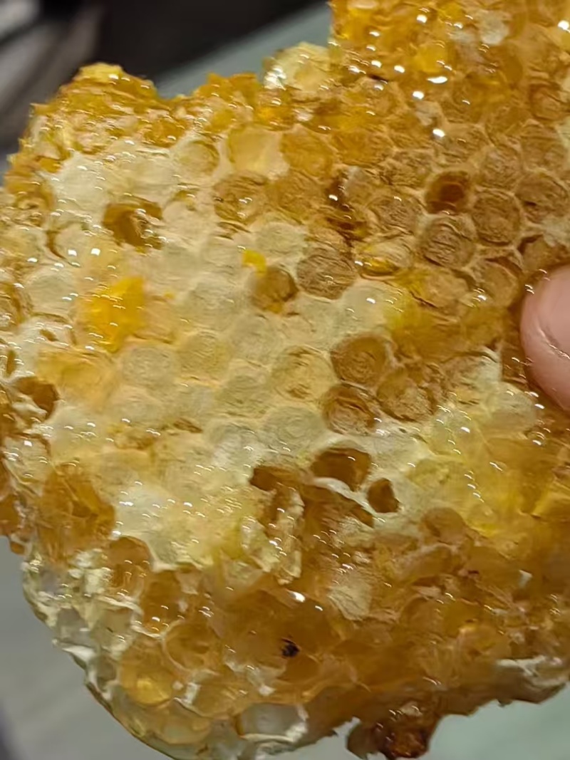 盐源深山正宗土蜂蜜结晶度好纯正小件也能发货全国接单按需