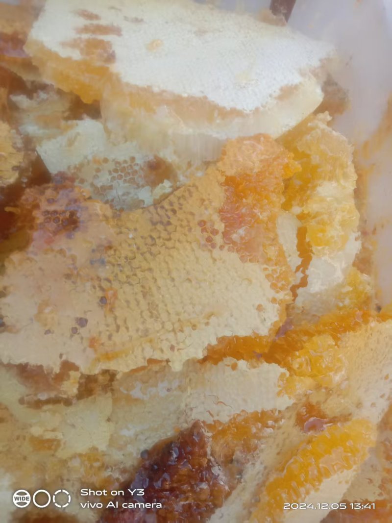 盐源深山正宗土蜂蜜结晶度好纯正小件也能发货全国接单按需