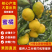 蜜橘柑桔陕西汉中蜜橘产地一手货源品质保障对接全国