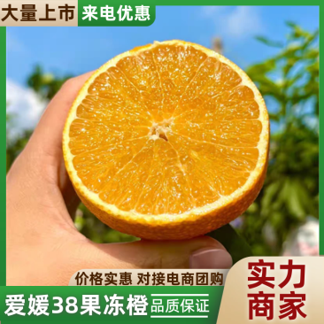 爱媛38号果冻橙橙子产地直发皮薄多汁对接电商市场