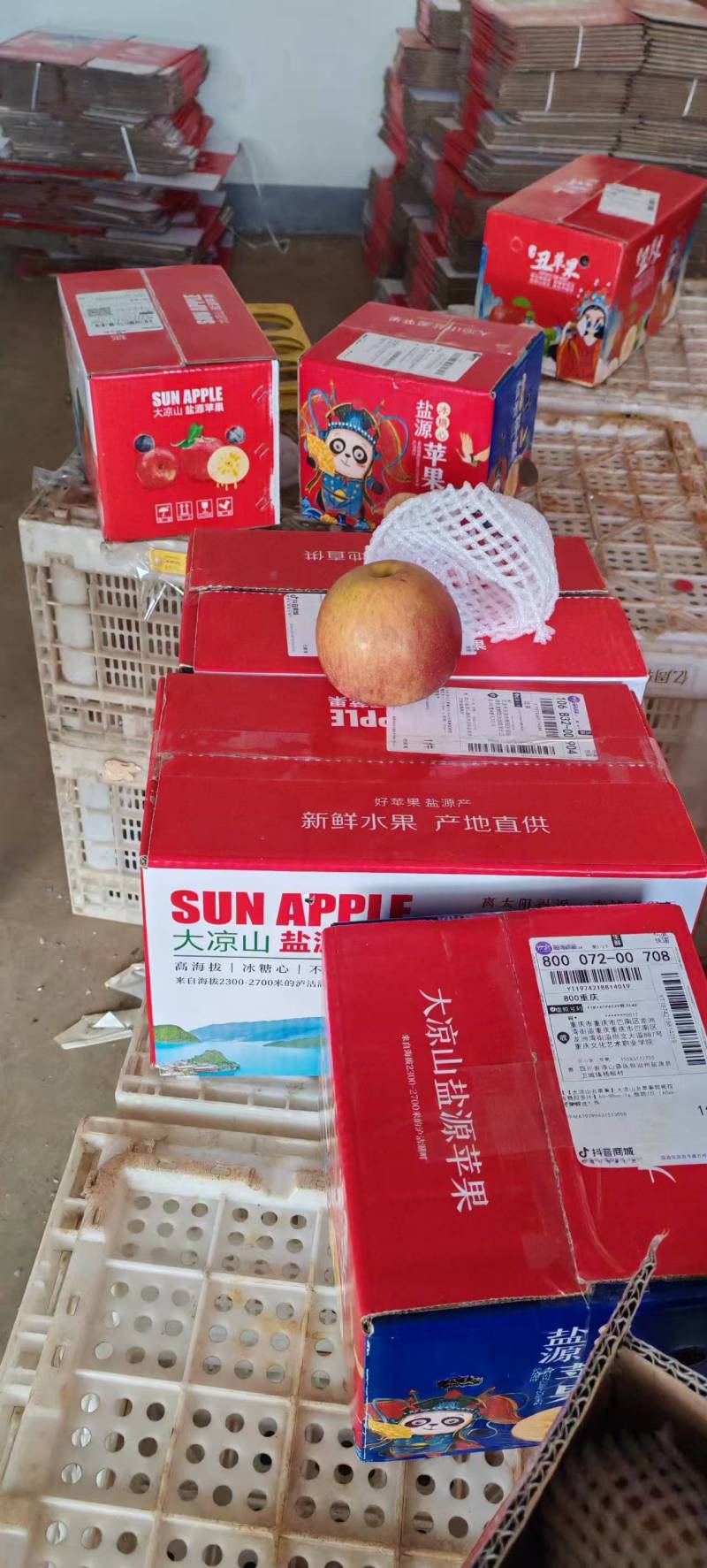 苹果、糖心苹果大量有货，产地直发，可批发，可一件代发