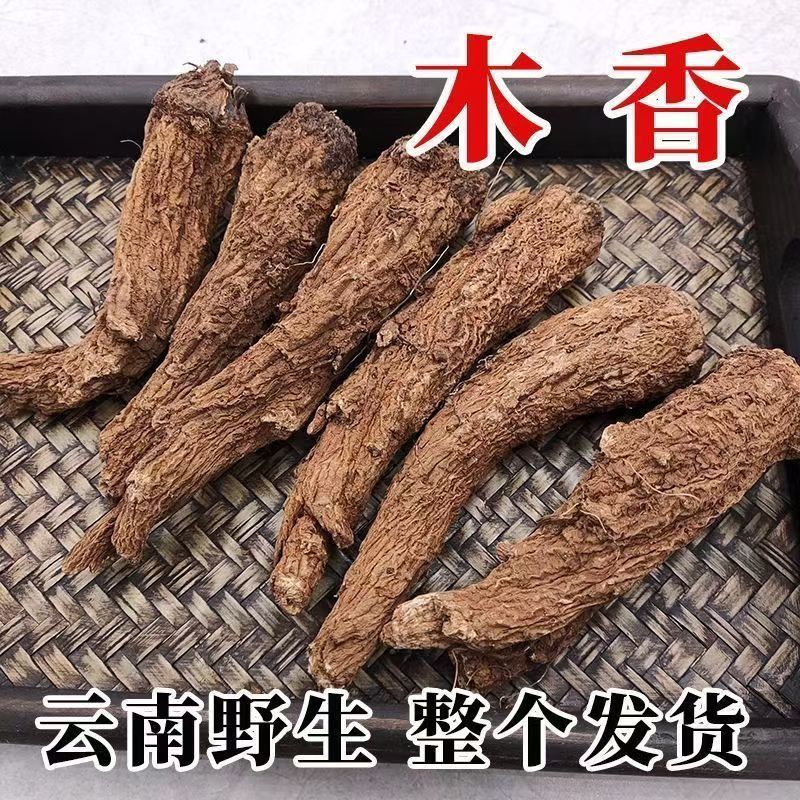 云木香中药材批发种植基地直供量大价优欢迎咨询看货