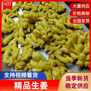 【实力】电商货市场货小黄姜(精品风干姜/水洗姜/沙土姜)