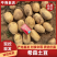 黄皮黄心精品土豆
