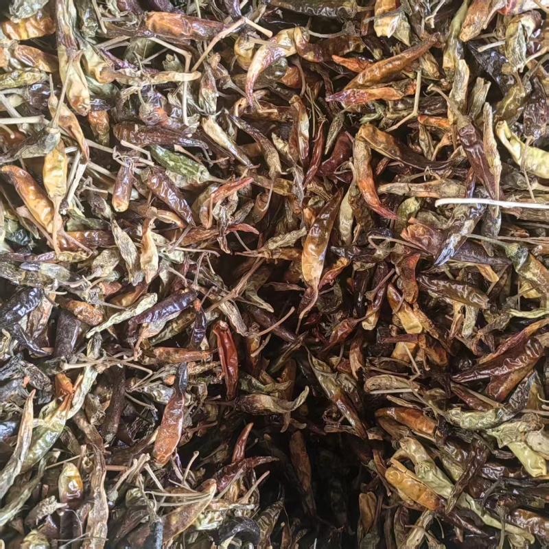 许昌干辣椒朝天椒小辣椒产地一手货源货源稳定