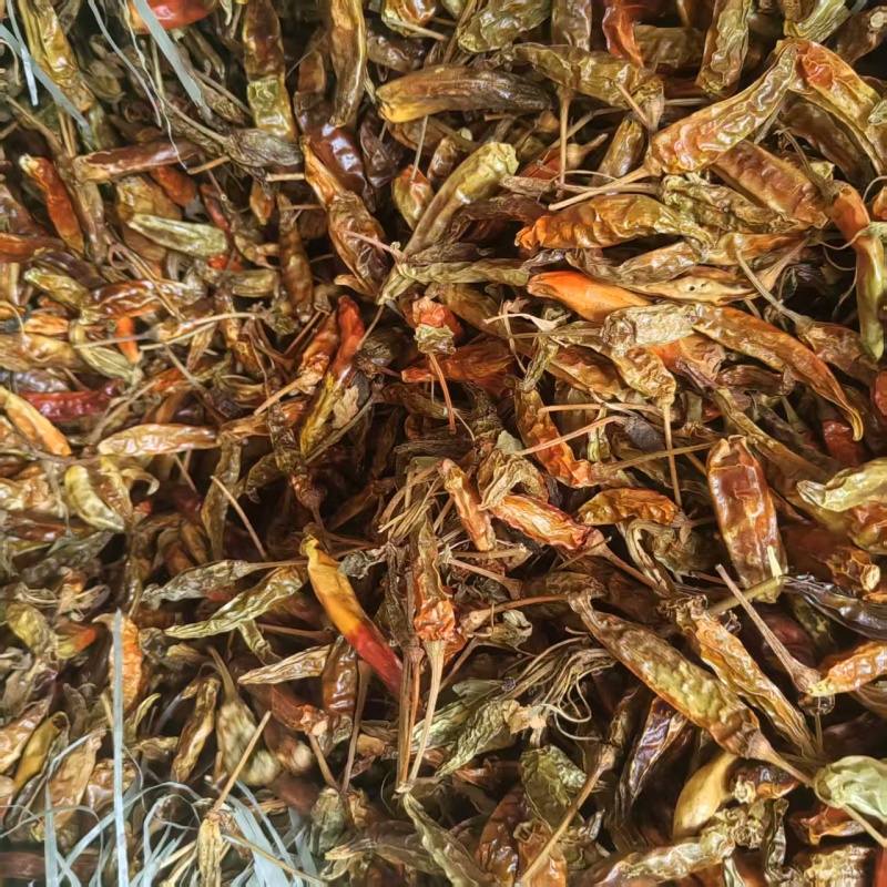 许昌干辣椒朝天椒小辣椒产地一手货源货源稳定