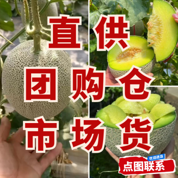 网纹，美华，网五，啊鲁斯等大量现货，对接电商团购批发商