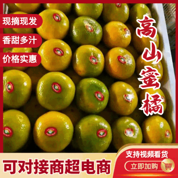 湖北高山蜜桔，皮薄，口感甜产地直发，对接电商商超出口外贸