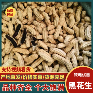 黑花生产地直发人工挑选精品货颗粒饱满品质保障
