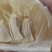 湖南精品柚子/香柚大量上市/产地直发/可视频看货/一手货源
