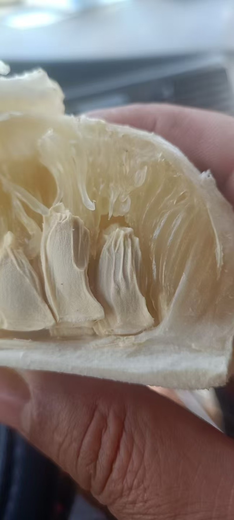 湖南精品柚子/香柚大量上市/产地直发/可视频看货/一手货源